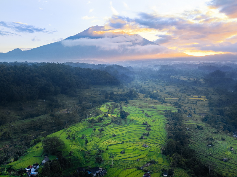 DJI_0257
