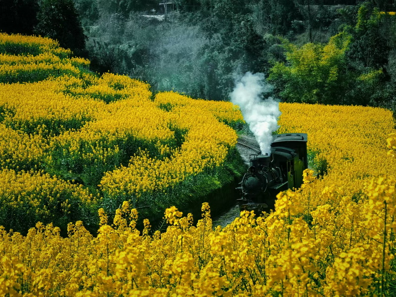 嘉陽小火車